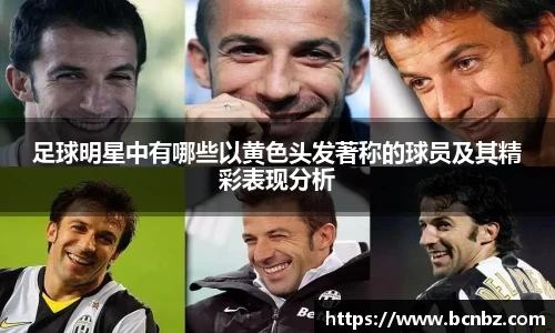 必一运动b-sports平台